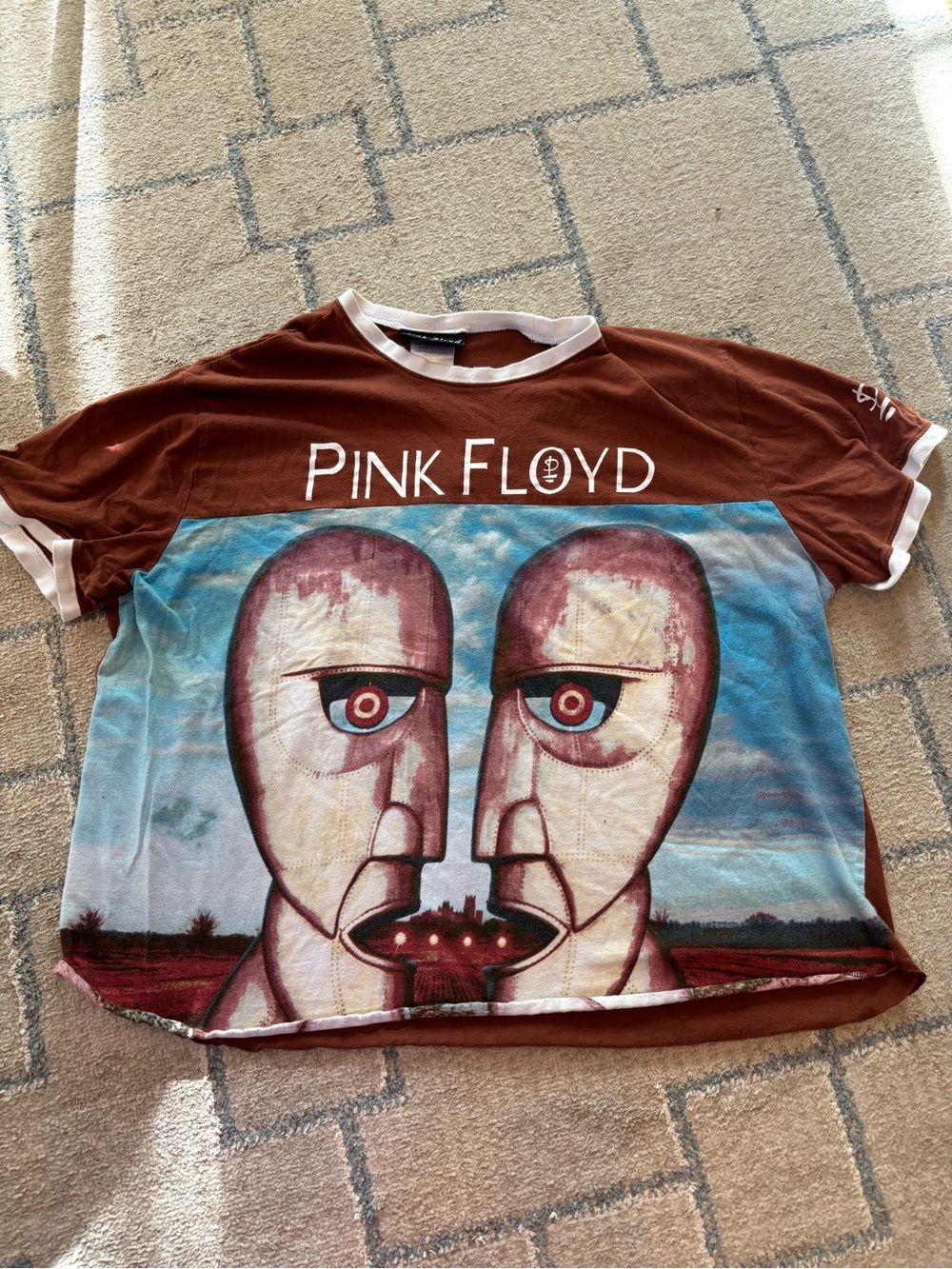 Pink Floyd "The Division Bell" t-shirt with a vintage-style graphic